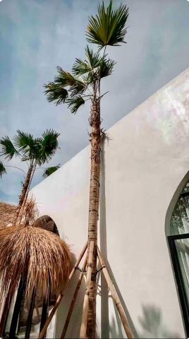 Casa de Sassy — photo 9