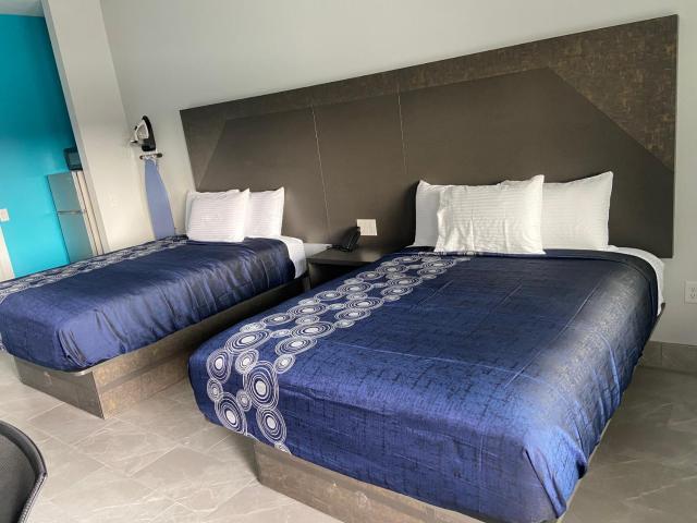 LiV INN & SUITES HOUSTON — photo 23