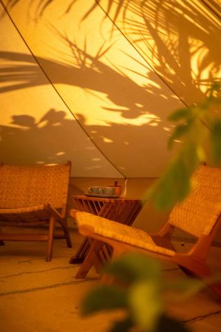 Maverick Surf and Dive Boutique Hotel — photo 19