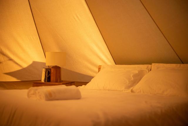 Maverick Surf and Dive Boutique Hotel — photo 7