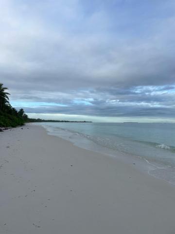 Calm Beach Inn — photo 15