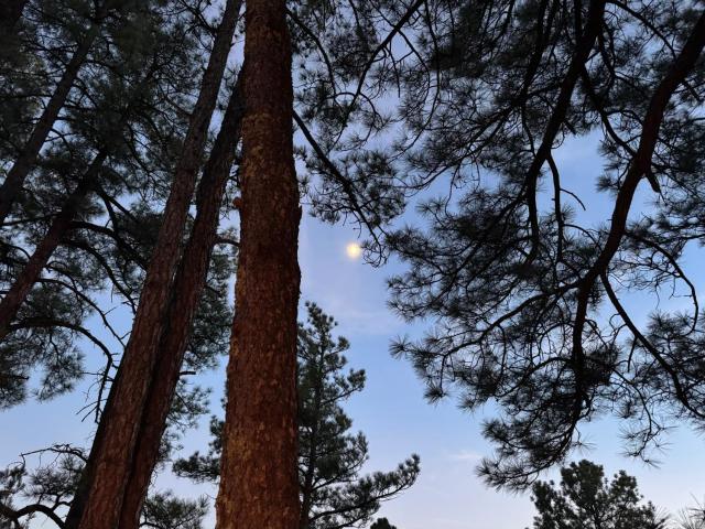Little Bear Cabin Ruidoso, NM — photo 18