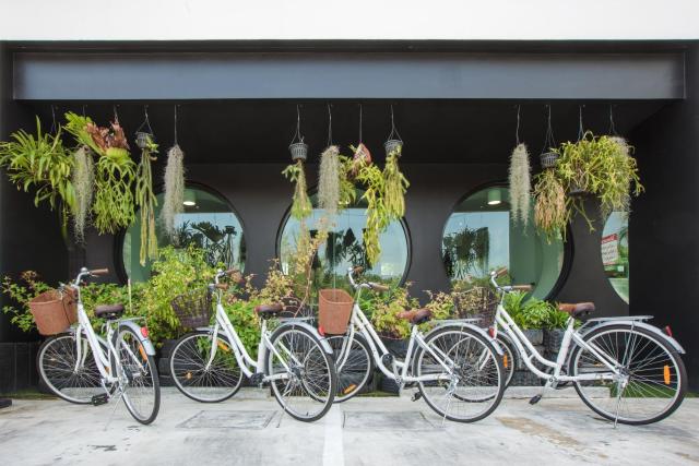 Blu Monkey Hub and Hotel Phuket Town- Free All Day Coworking space — photo 6