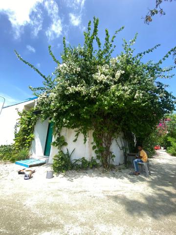 Maavaharu Guest House Himmafushi — photo 6