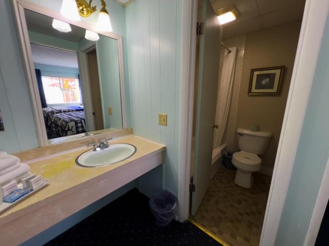 American Boutique Inn - Lakeview — photo 19