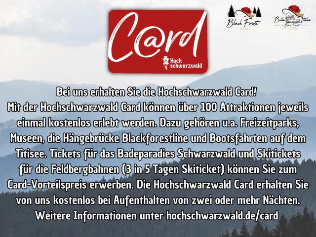 Hotel Black Forest — photo 24