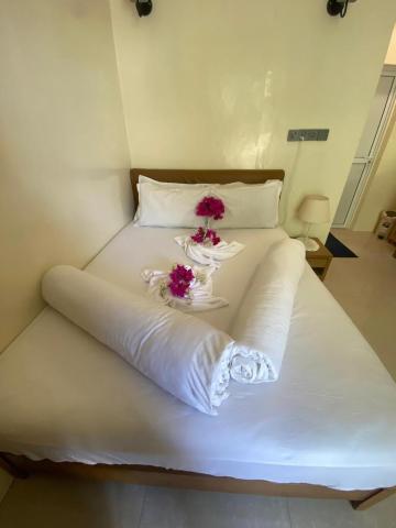 Maavaharu Guest House Himmafushi — photo 11