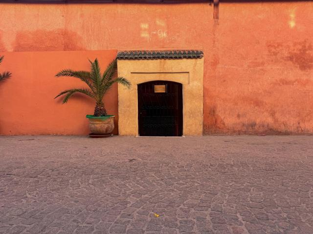 Riad Lapis-lazuli — photo 11