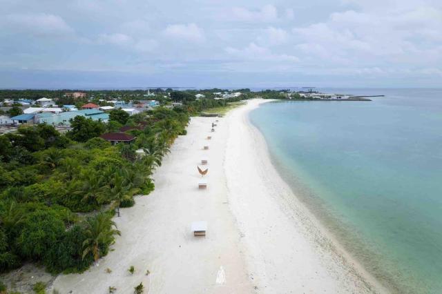 Mangrove Apple Residence — photo 7