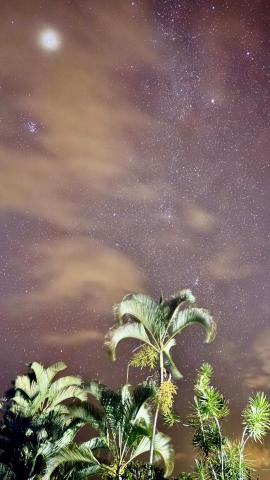 Coffee Garden — photo 9