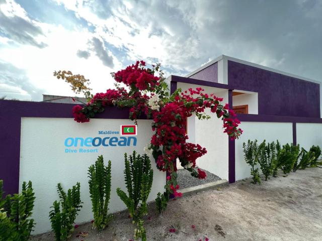 Dive Villa One Ocean — photo 10