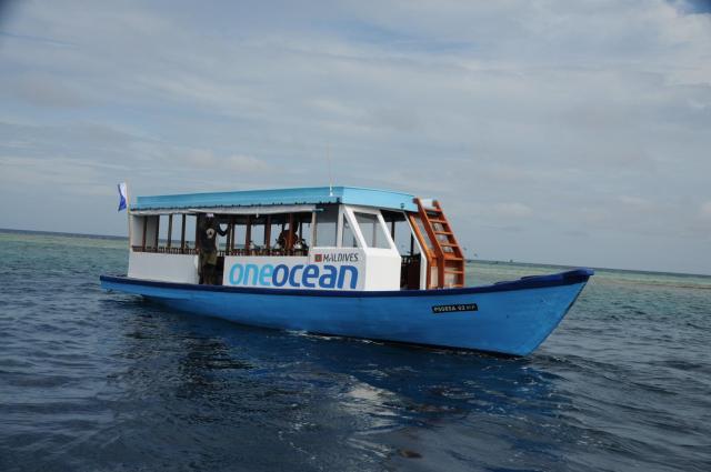 Dive Villa One Ocean — photo 20