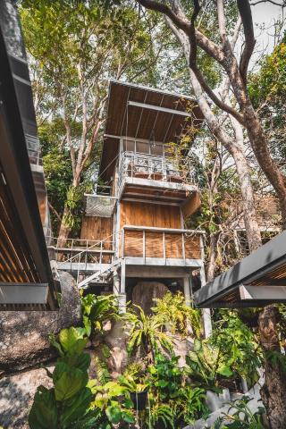 Shiva Lodge — photo 16