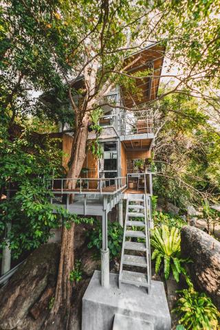 Shiva Lodge — photo 14