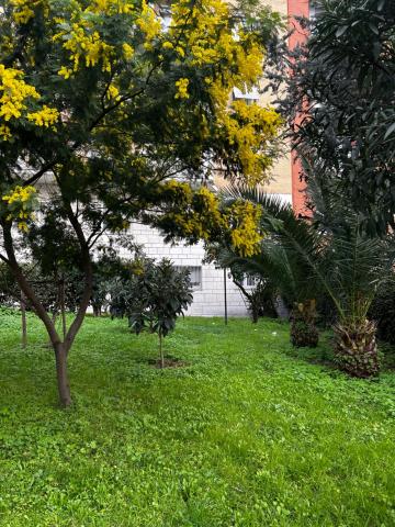 BAM BAM TIBURTINA Guesthouse — photo 17