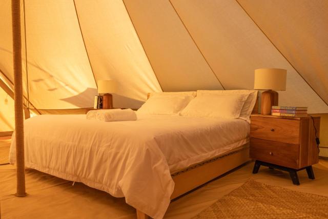 Maverick Surf and Dive Boutique Hotel — photo 12