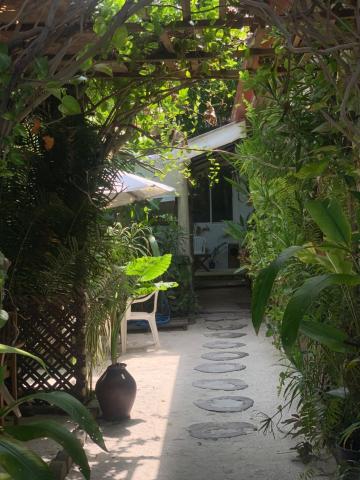 La Luna Boutique — photo 11