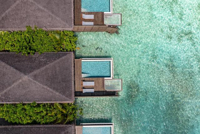 dusitD2 Feydhoo Maldives — photo 10
