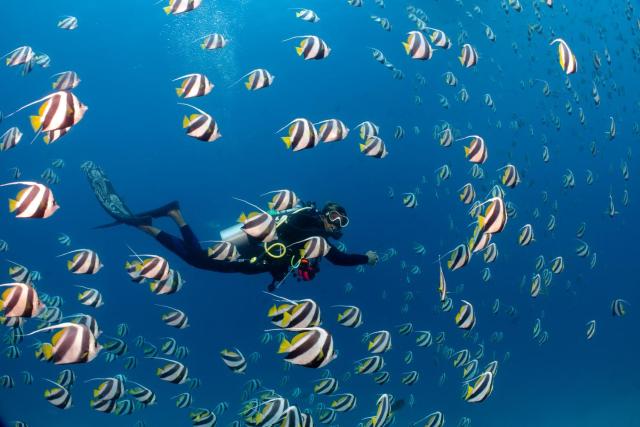 Bandos Maldives — photo 10