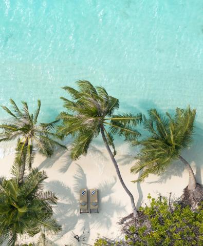 Bandos Maldives — photo 19