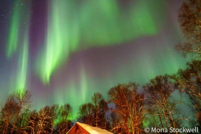 Riverside Cabins at Susitna River Lodge — photo 7