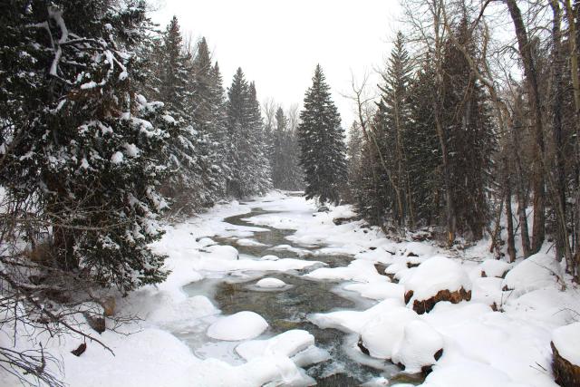 Rock Creek Resort — photo 19
