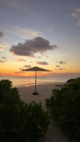 Rattehi Inn at Rakeedhoo — photo 22