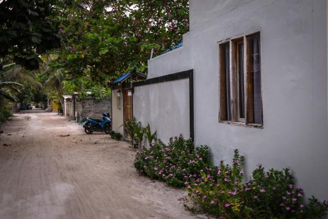 BLACK PEARL Himandhoo — photo 20