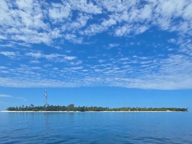 BLACK PEARL Himandhoo — photo 17