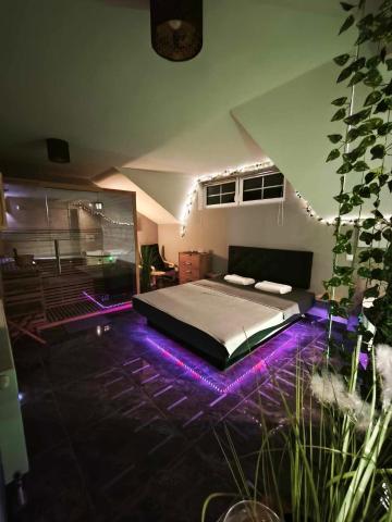 Guesthouse and Wellness VINEA — photo 5