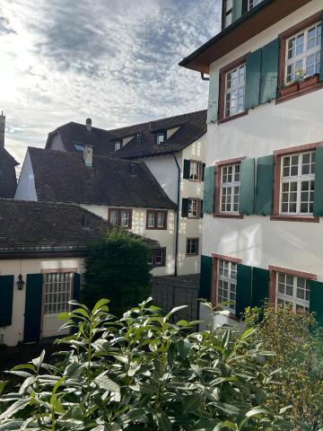Rheinstream Guesthouse Basel — photo 6