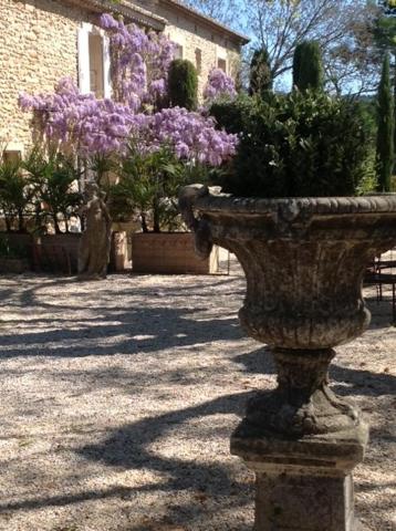 Le Clos de Lucie — photo 17