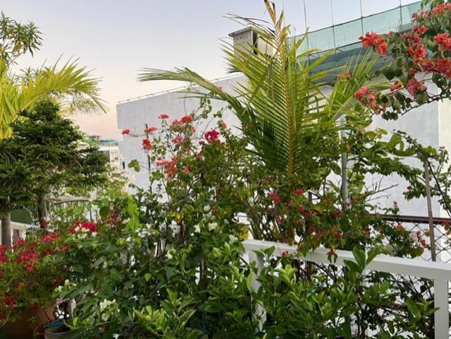 Rooftop Rooms — photo 19