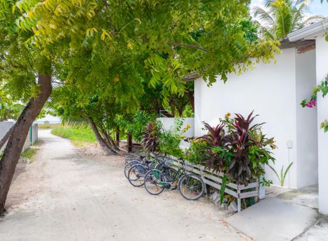 La Due Thulusdhoo Guesthouse — photo 2