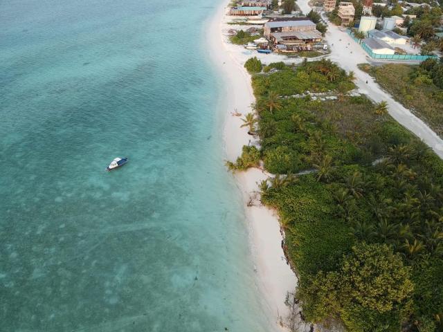 Wish Maamigili — photo 18