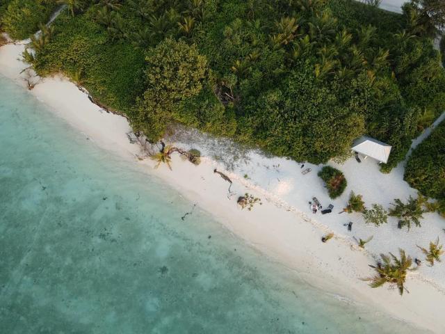 Wish Maamigili — photo 21