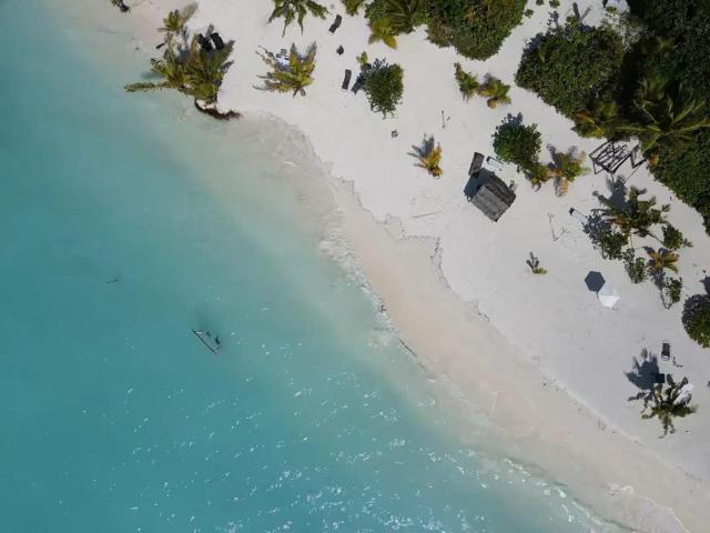 Wish Maamigili — photo 22