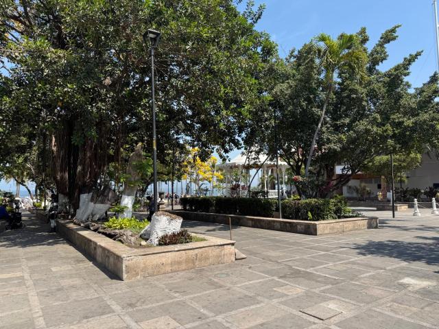 Hotel Casa Kavia Vallarta — photo 17