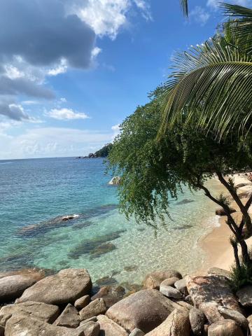 P.D. Beach Resort — photo 23