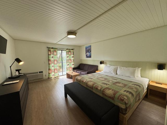 The Lodge at Ski Mountain — photo 5