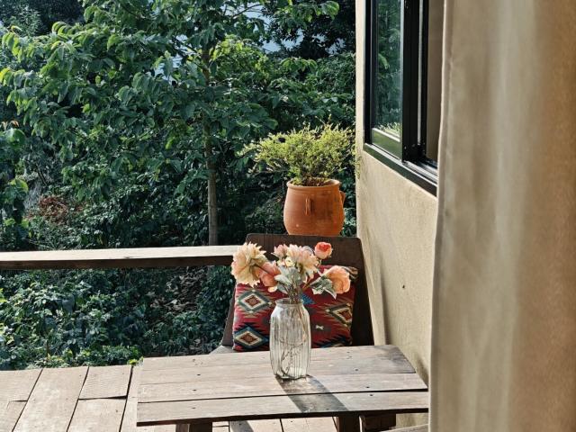 U Garden — photo 14