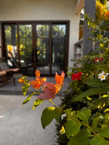 Oasis Breez — photo 21