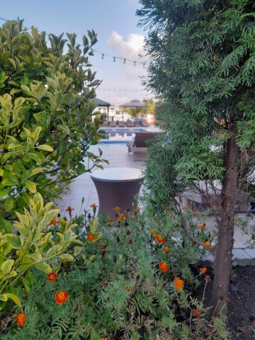 Green Terrace — photo 17