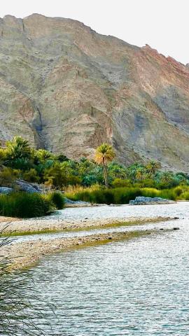 Wadi Al Arbeieen Resort — photo 19