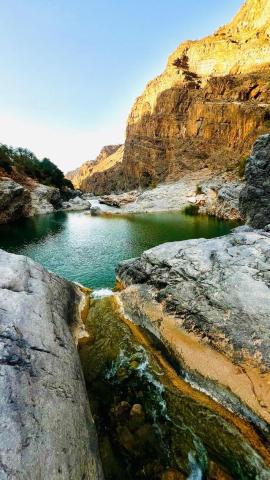 Wadi Al Arbeieen Resort — photo 18