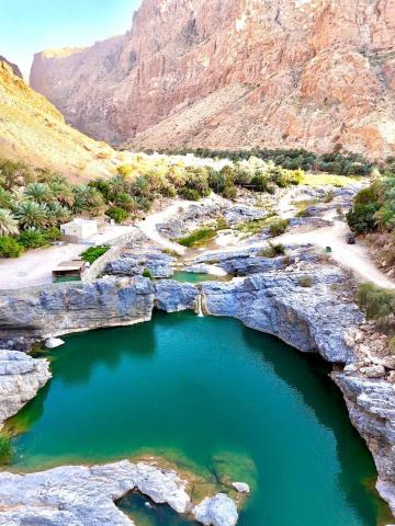 Wadi Al Arbeieen Resort — photo 17