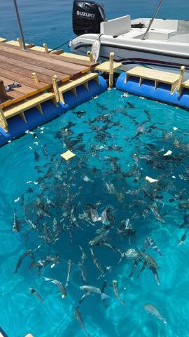 Omadhoo Inn — photo 21