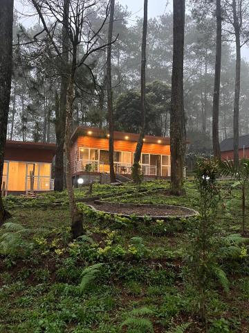 Cabinlyfe by MHM — photo 6