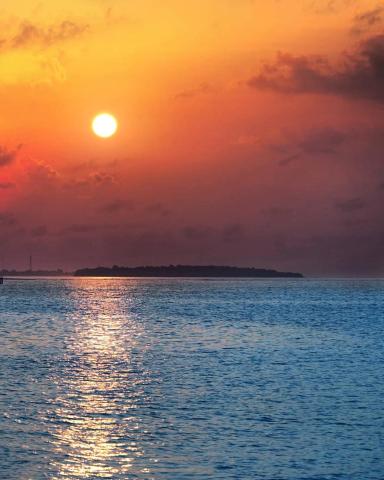 Beach Inn Vashafaru Maldives — photo 22