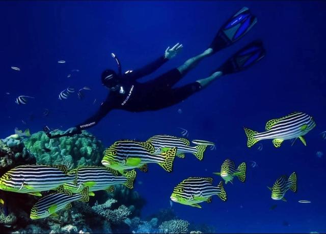 Beach Inn Vashafaru Maldives — photo 5